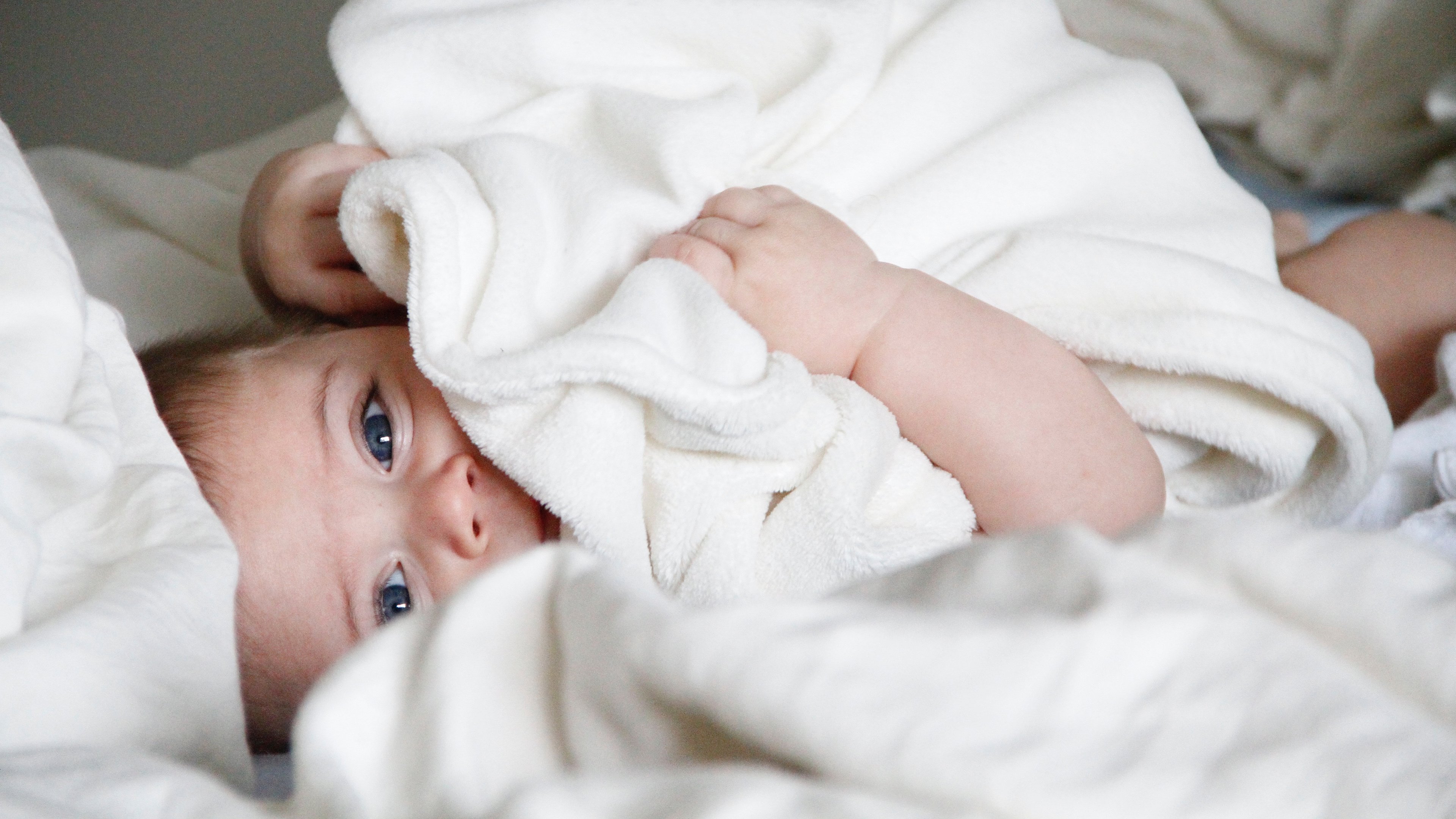 福州供卵公司机构试管婴儿的成功率